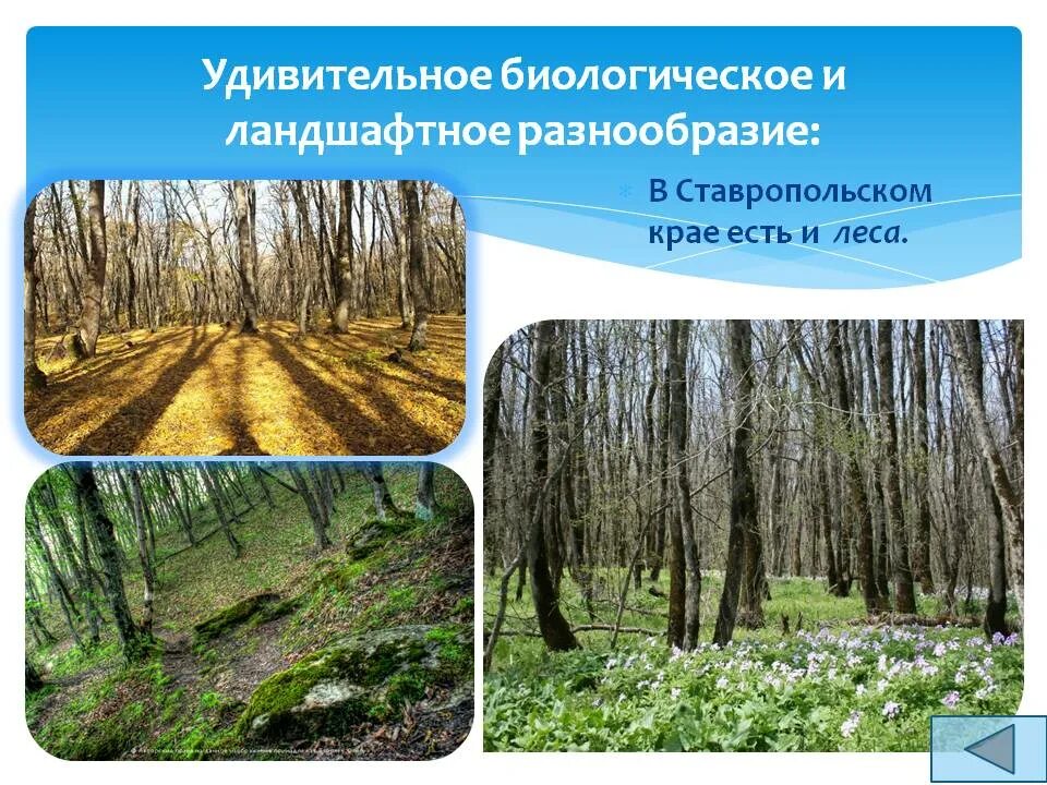 краеведение 6 класс волгоградская область. краеведение для дошкольников. биологическое и ландшафтное разнообразие. роберт брукема ландшафтные сады. декоративные растения для сада.