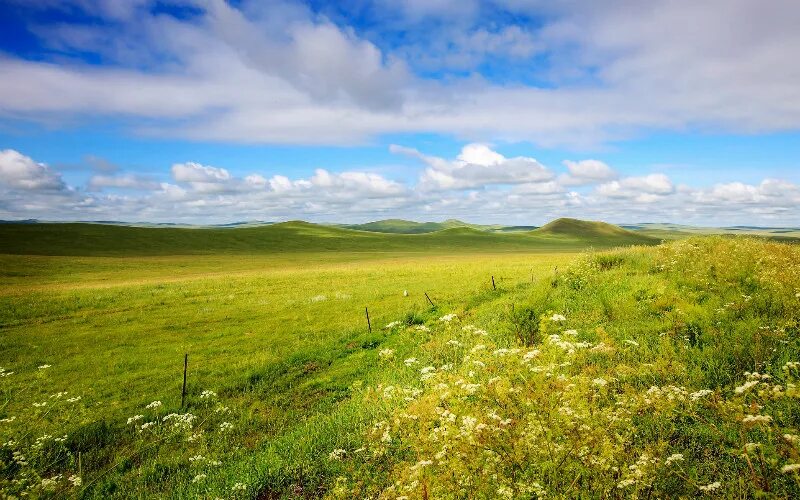 Grasslands are known by