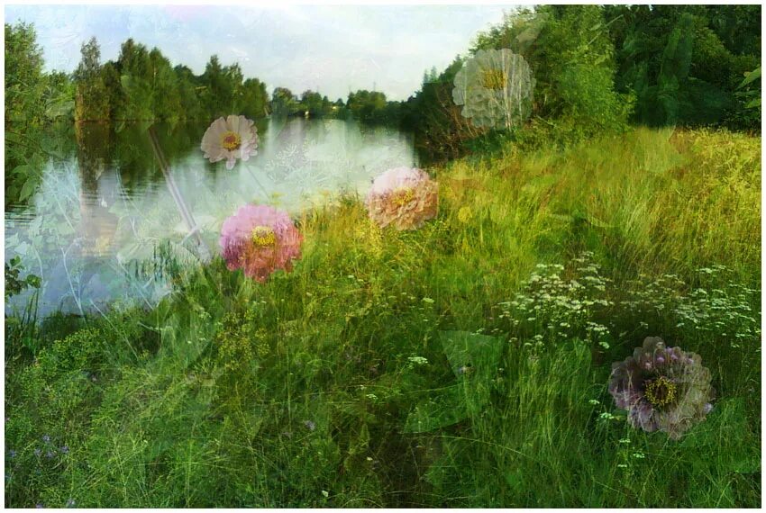 погода последняя неделя сентября. отдыхающий на море. августовская природа. лето. не лето википедия.