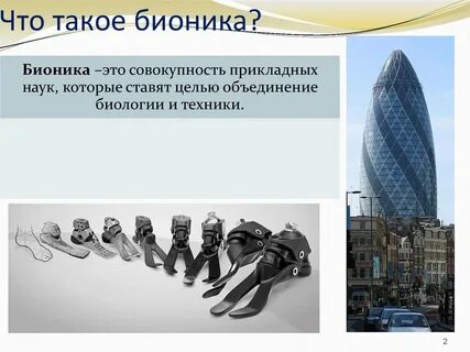 Что такое бионика в биологии 8 класс