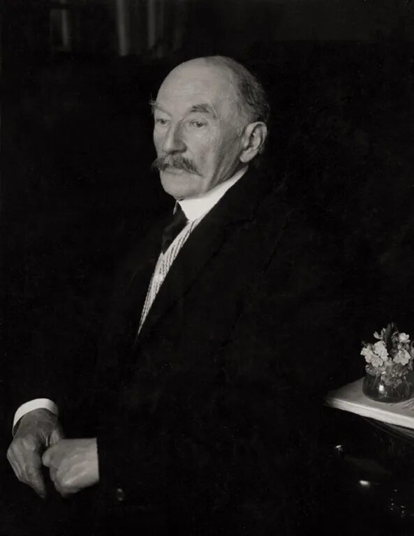 Thomas Hardy. Харди писатель