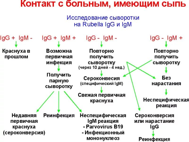 Иммуноглобулин кори анализ. Исследование антител IGG К Rubella virus (ИФА). АТ К вирусу краснухи IGM (Rubella IGM). Краснуха IGG(Rubella IGG) 22.2. АТ К вирусу краснухи IGG (Rubella IGG).