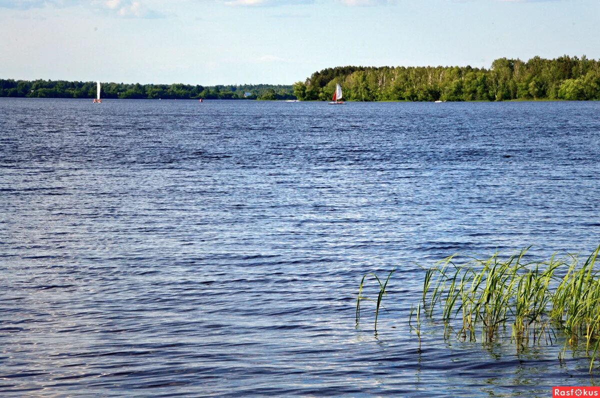 московское водохранилище дубна. пляж дубна иваньковское водохранилище 90х. лазурное иваньковское водохранилище. московское море тверская область завидово. вода иваньковское водохранилище.