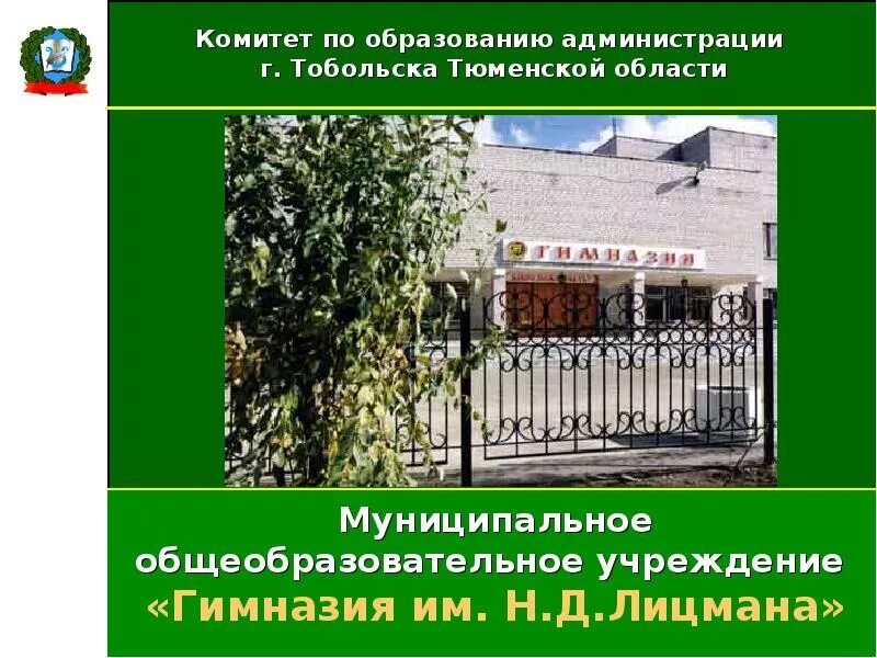 Гимназия 10 тобольск. Гимназия лицмана тобольск фото. Гимназия н д лицмана. Гимназия имени лицмана тобольск. Гимназия лицмана.