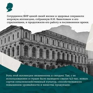 Коллекция всесоюзного института растениеводства впр