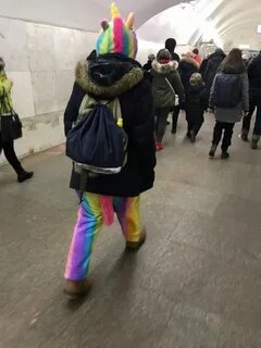 Пушистый модник вологда возрождения