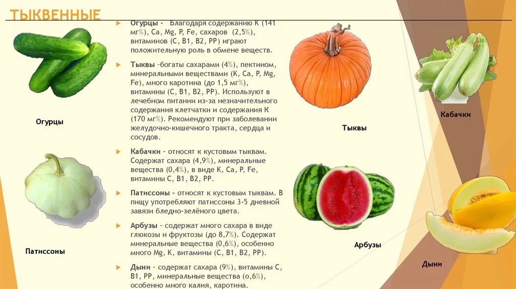 Какие витамины есть в огурце. Тыквенные овощи классификация. Различия огурца и тыквы. Что содержится в тыквенных овощах. Таблица с семейством тыквенных.