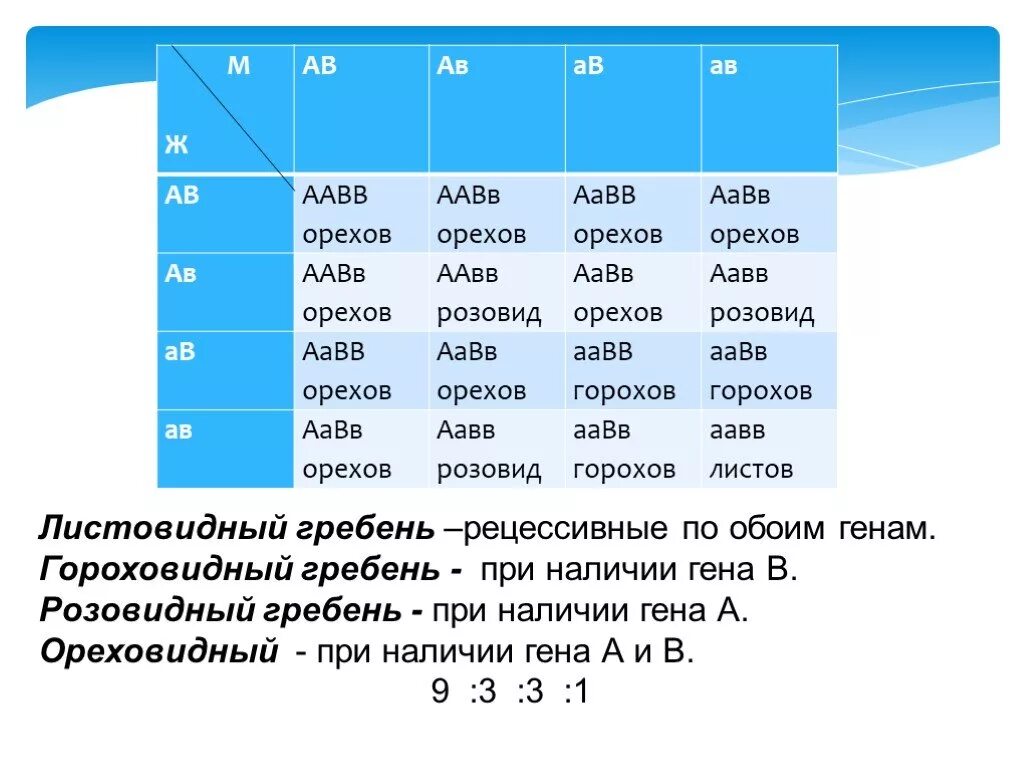 Какие гаметы образует особь с генотипом aabb. Aabb aabb. аавв аавв. гены аавв. таблица по биологии aabb.