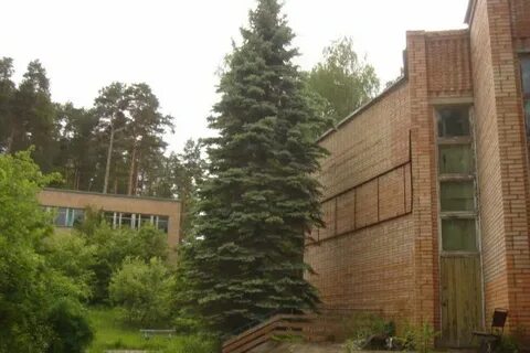 Смоленск ул нижняя дубровенка юный ленинец