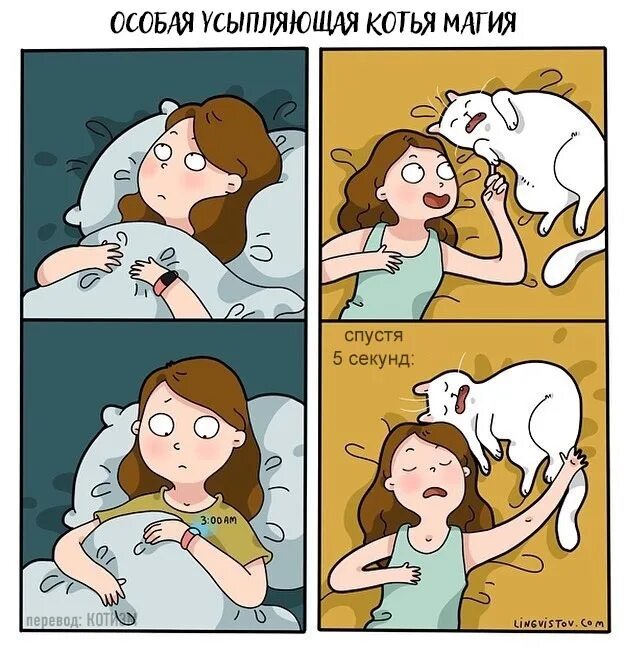 Матерь котья. Lingvistov комиксы. комиксы с котами жизненные. матерь котья мем.