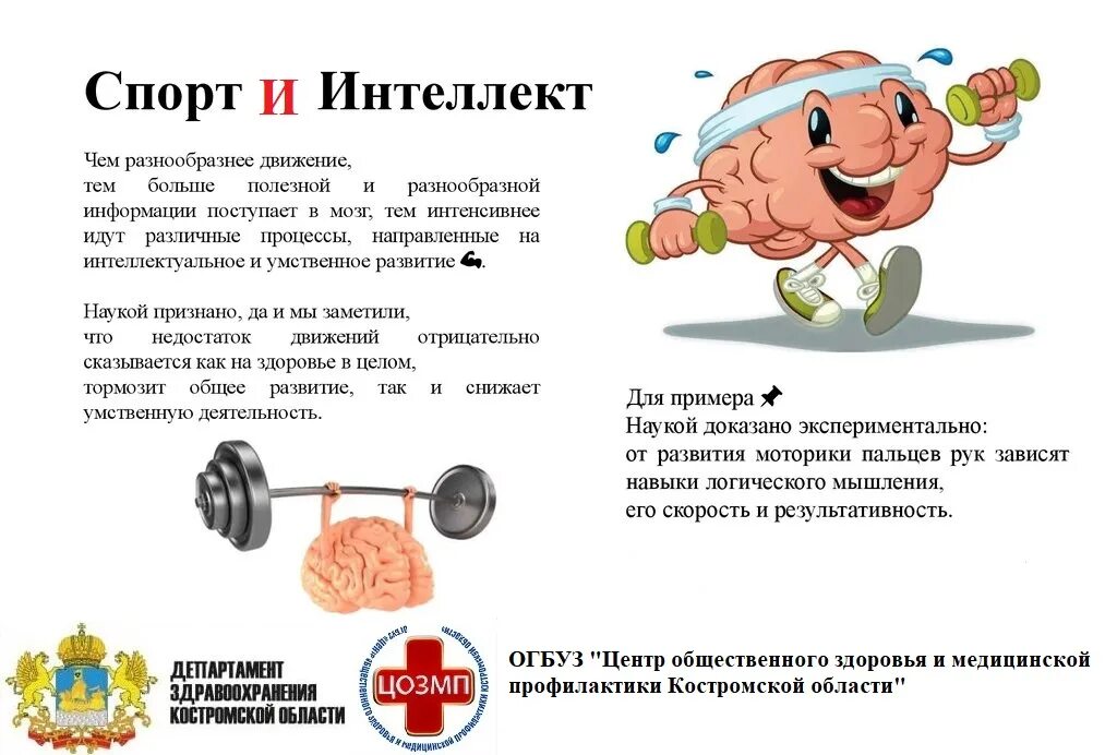Системы на спорт примеры Единая цифровая платформа "Физическая культура и спорт" начнет работать в 2021 г