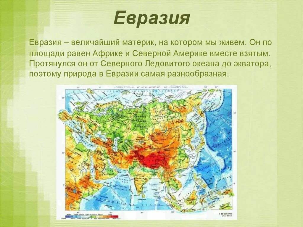 Где находятся жили