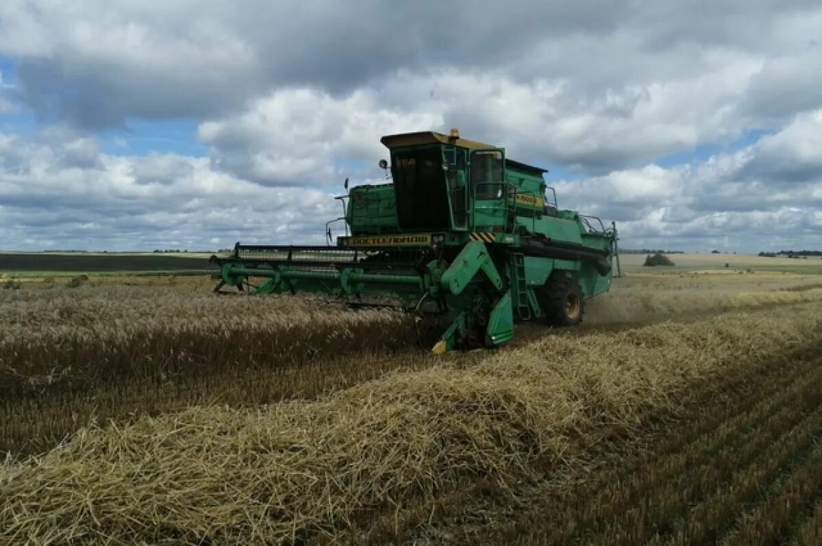 Зерносушилка сзт-30. Завод мелькрукк брянск. Спк эмблема. Спк эмблема. Элеватор для зерна в брянске.