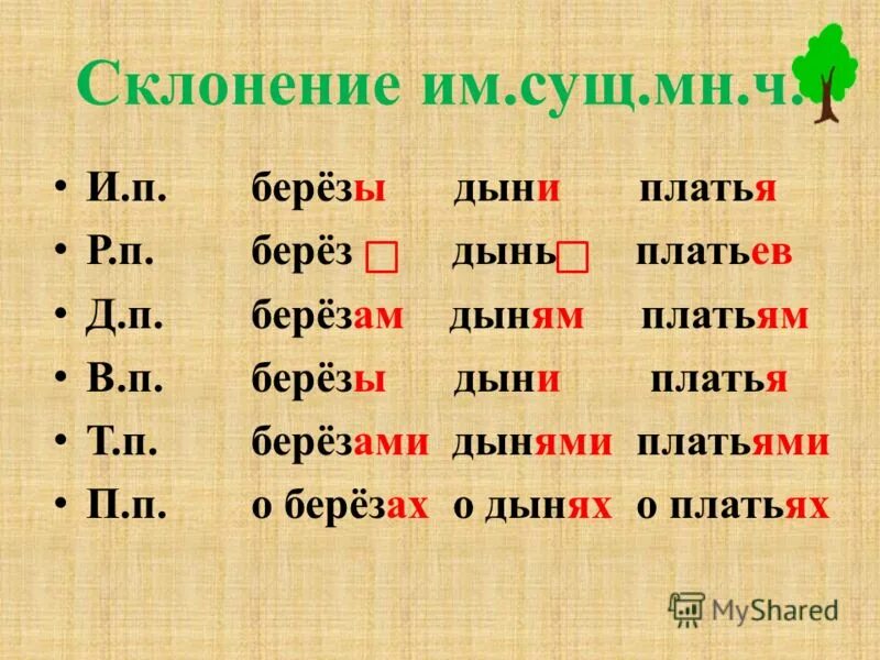 Аллея просклонять по падежам. Выйти к лесной опушке падеж и склонение. Березовых рощ склонение. Изменение слова по падежам. Березовой рощи склонение.