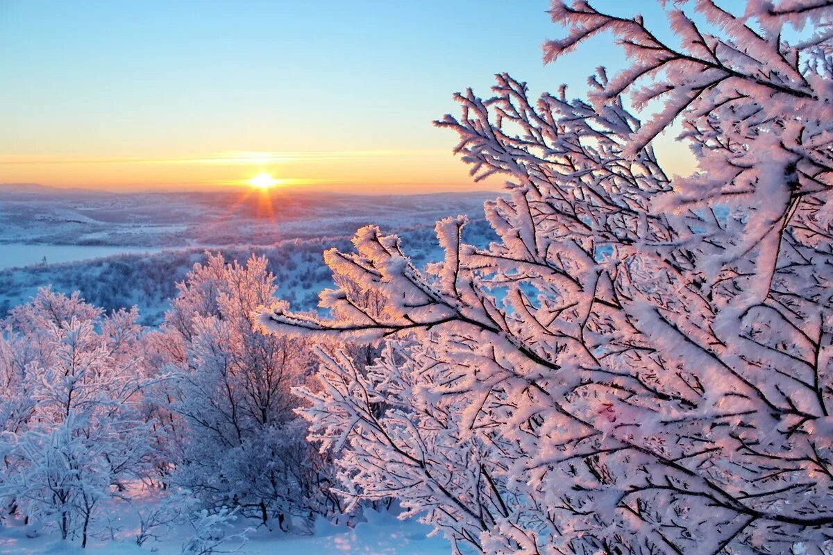 Зимнее утро. Зимний пейзаж. Зимняя природа. Солнечный день январь