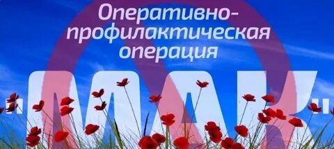 Оперативно профилактической операции мак