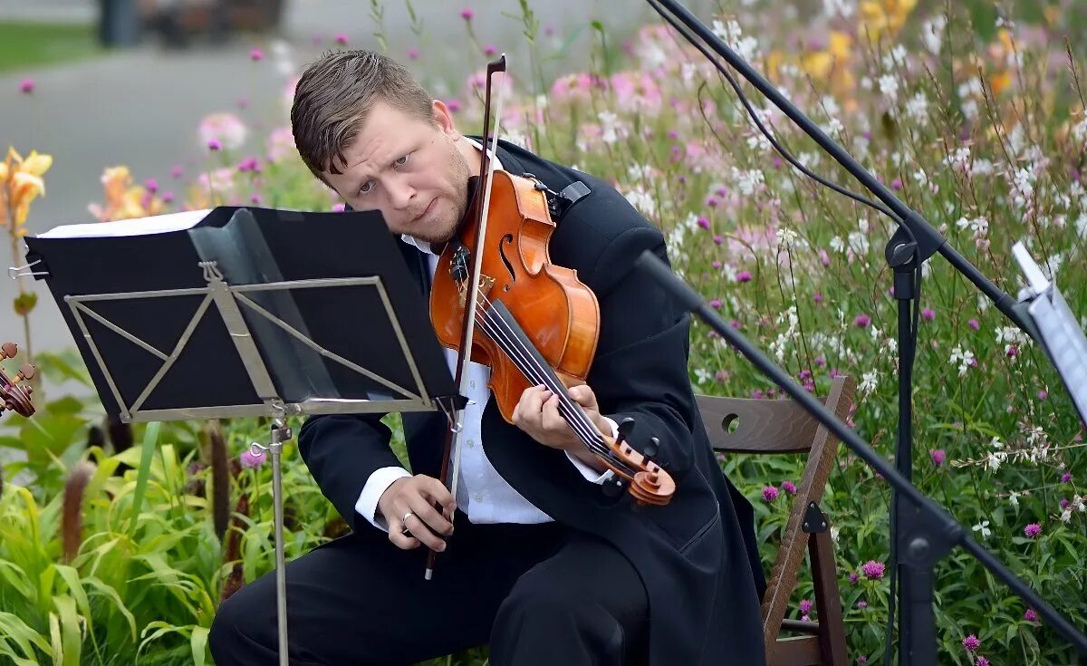 Бас гитарист на сцене. Музыканты оркестра. Музыканты поют flat. Музыкант. Ольстерский симфонический оркестр.