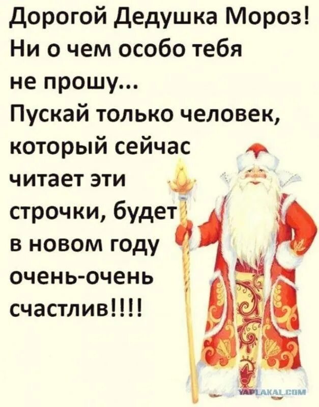 Дорогой дед мороз письмо. Дедушка мороз прошу. Просьба к деду морозу. Что попросить у дедушки мороза подарок. Что попросить у деда мороза на новый год.