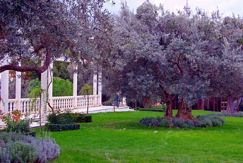 Айвазовское парк парадиз. Партенит крым парк парадиз. Айвазовское парк парадиз. Парадиз крым парк айвазовского. Парк модерн в партените айвазовское парадиз.