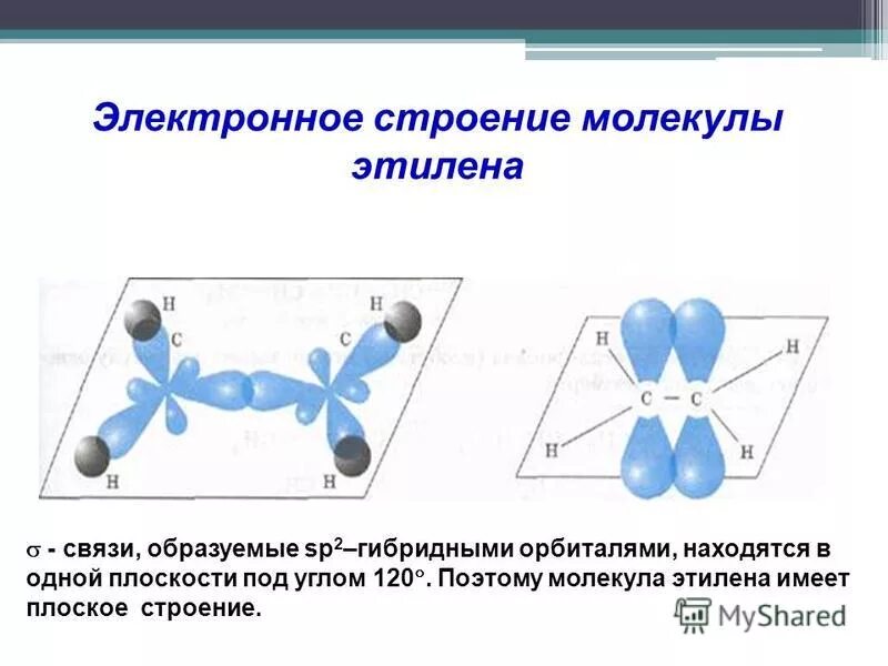 В молекуле углеводорода имеется