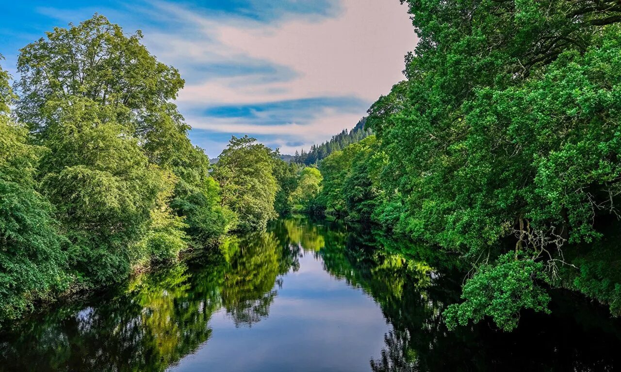 Река мерсед, калифорния. Природа лес речка. Обои лес и река. Природа. Река мерсед.