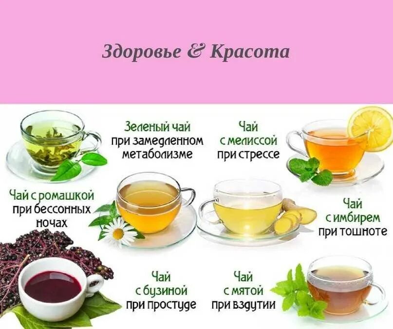 Зеленый чай мочегонный или нет. Чай здоровье. Полезные чаи для здоровья. Полезные травы для чая. Разновидности чая.