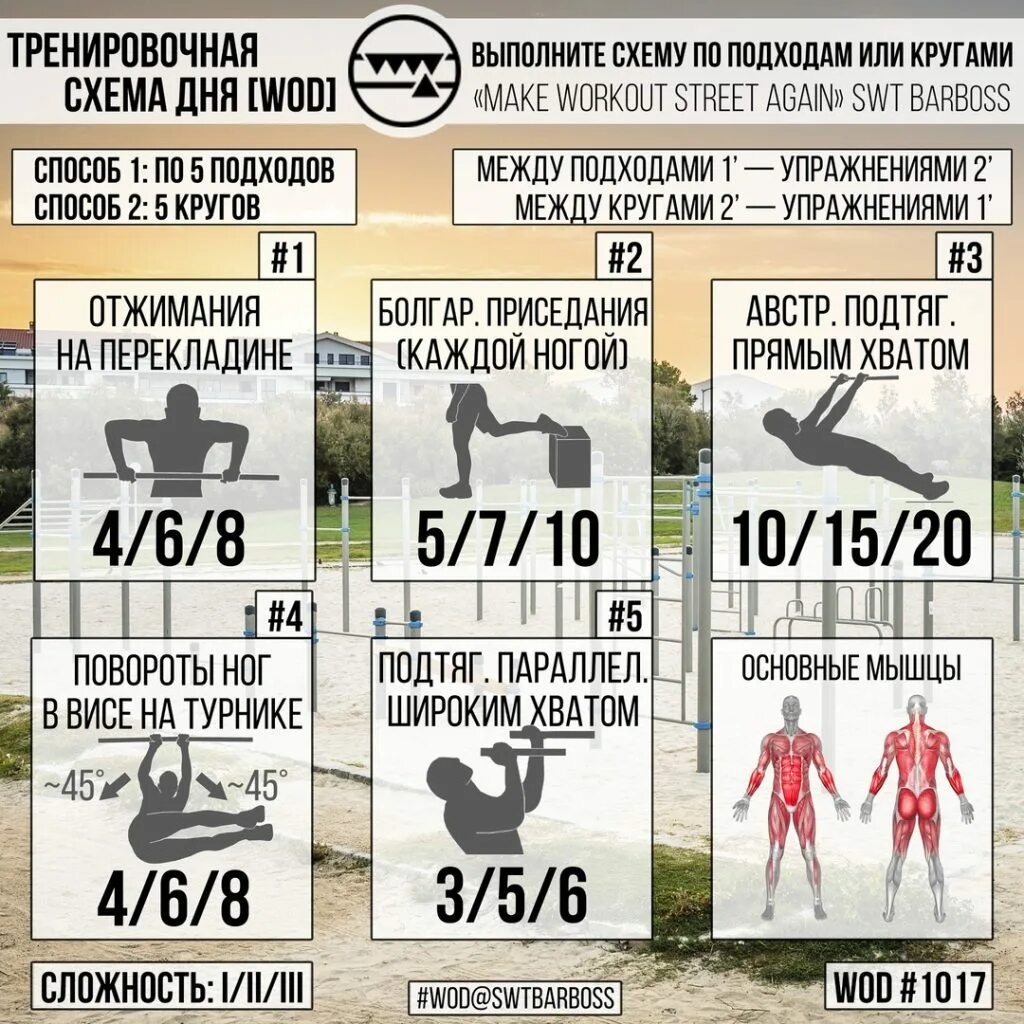 Программа тренировок подходы. Схема тренировок. воркаут схема тренировок. программа тренировок barboss. тренировочные схемы.