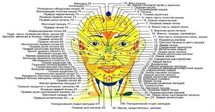 Определить органы по лицу