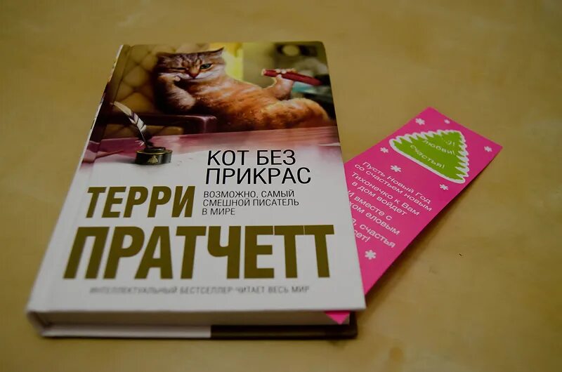 Читать любовь без прикрас. Без прикрас. Кот без прикрас книга. Пратчетт кот без прикрас. Жизнь без прикрас.