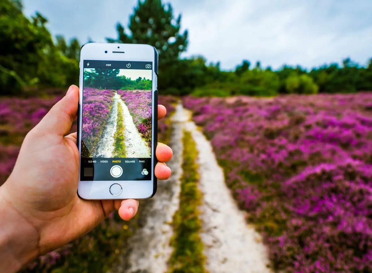Красивые смартфоны. Фотографирование на телефон. Фотографирует на айфон. Скриншот телефона. Фотографирует на телефон.