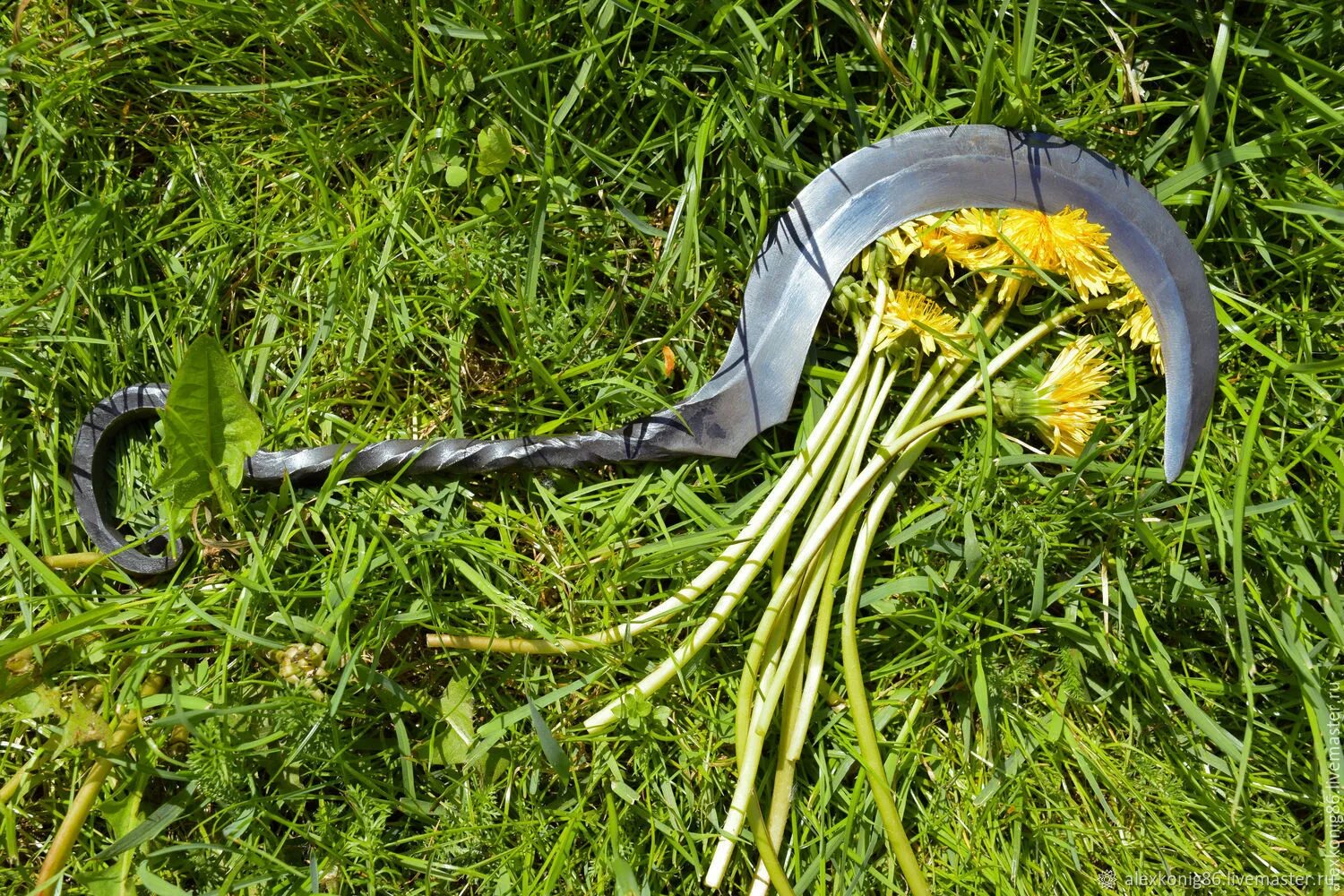 Серп жнец 25. Нож серп для сбора трав. Серп 332005 2551 450мм усиленный. Серп для травы. Серп "park" 240мм, усиленный si202-8.