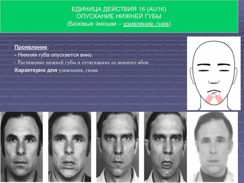 Пол экман 6 эмоций. Красивая форма бровей. Базовые лица. Контурирования лица. Нейтральное выражение лица.
