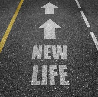 This new life