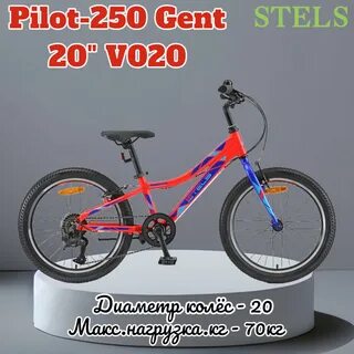 Пилот 20