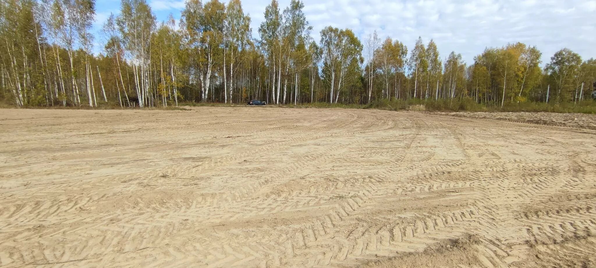 Д васильково нижегородская область. Лесная, д. Деревня васильково. Бор васильково. Васильково 4.