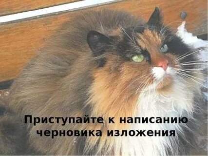 Ж к кк ю ю ю ю