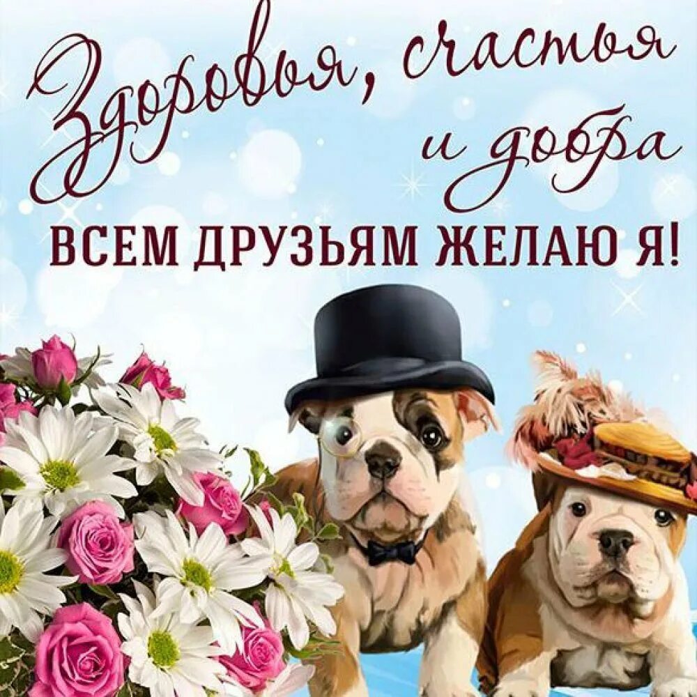 С днём друзей поздравления красивые. День друзей открытки поздравления. День дружбы картинки поздравления. 30 июля международный день дружбы. День друзей поздравляю фото.