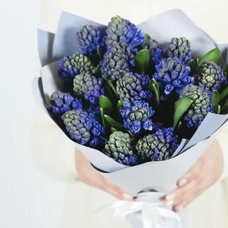 Гиацинт букет
