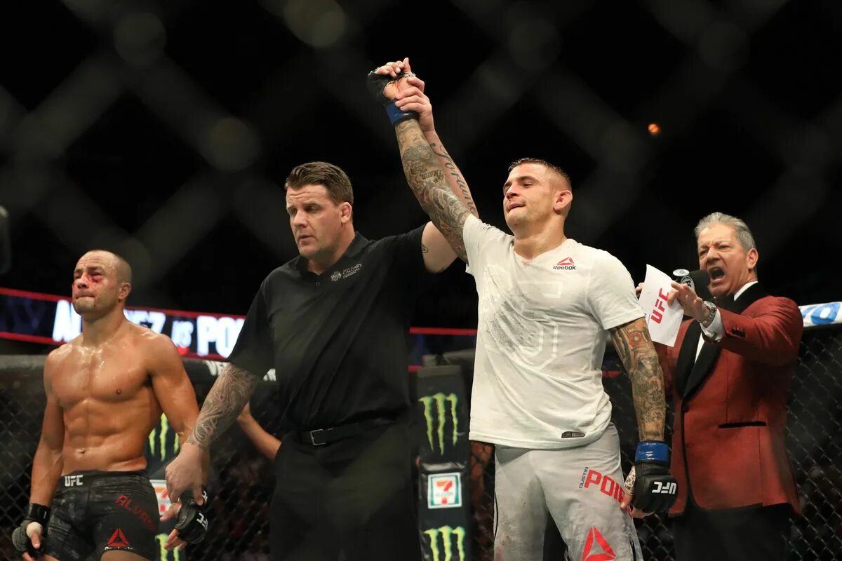 Сауль альварес. Эдди альварес гилберт мелендес. Катарина ковалева бои. Нобухиро танабе. Эдди альварес тренировки.