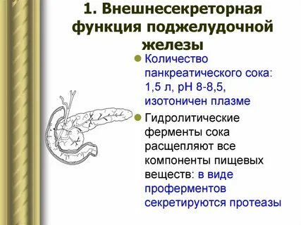 Рак поджелудочной железы сроки жизни