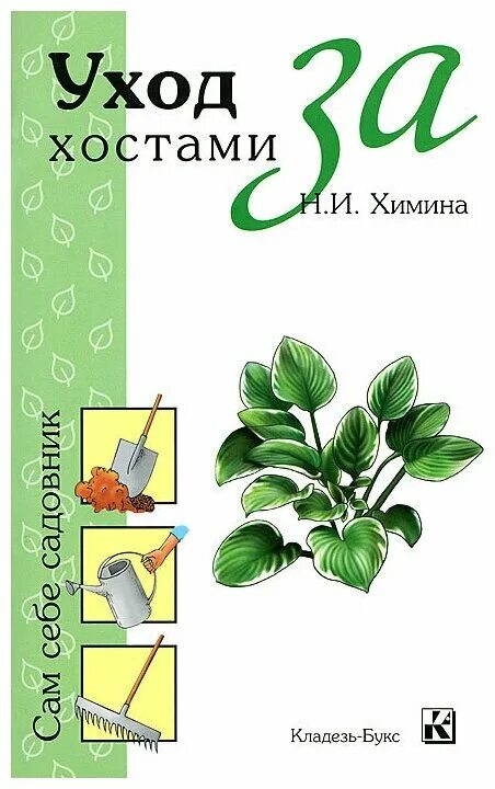 хоста гибридная рейнфорест санрайз. хоста стихотворение. хоста sagae. наша маленькая хоста книга. книга хосты.