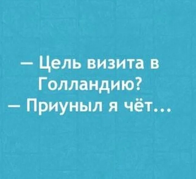 Приуныл или преуныл. Цель визита в Голланди. Цель визита визита в Голландию. Цель визита в Голландию приуныла. Картинка цель визита в Голландию.