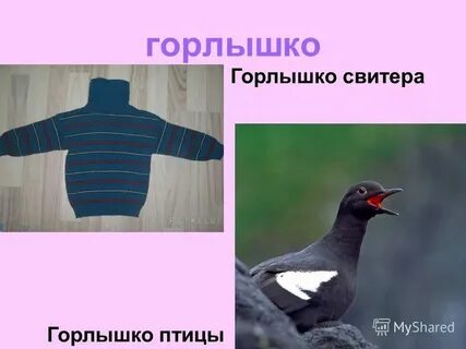 Многозначные слова бегемот молния пальто