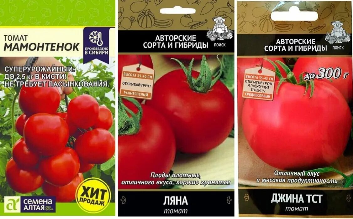 томат мамонтенок характеристика и описание отзывы фото. алтайские семена томатов мамонтенок. сорт томата мамонтенок. сорт томата мамонтенок. редкие сорта томатов.