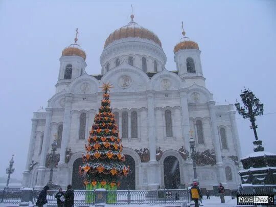Патріарша Різдвяна ялинка в Храмі Христа Спасителя / Фотоальбоми / Патріархія.ru