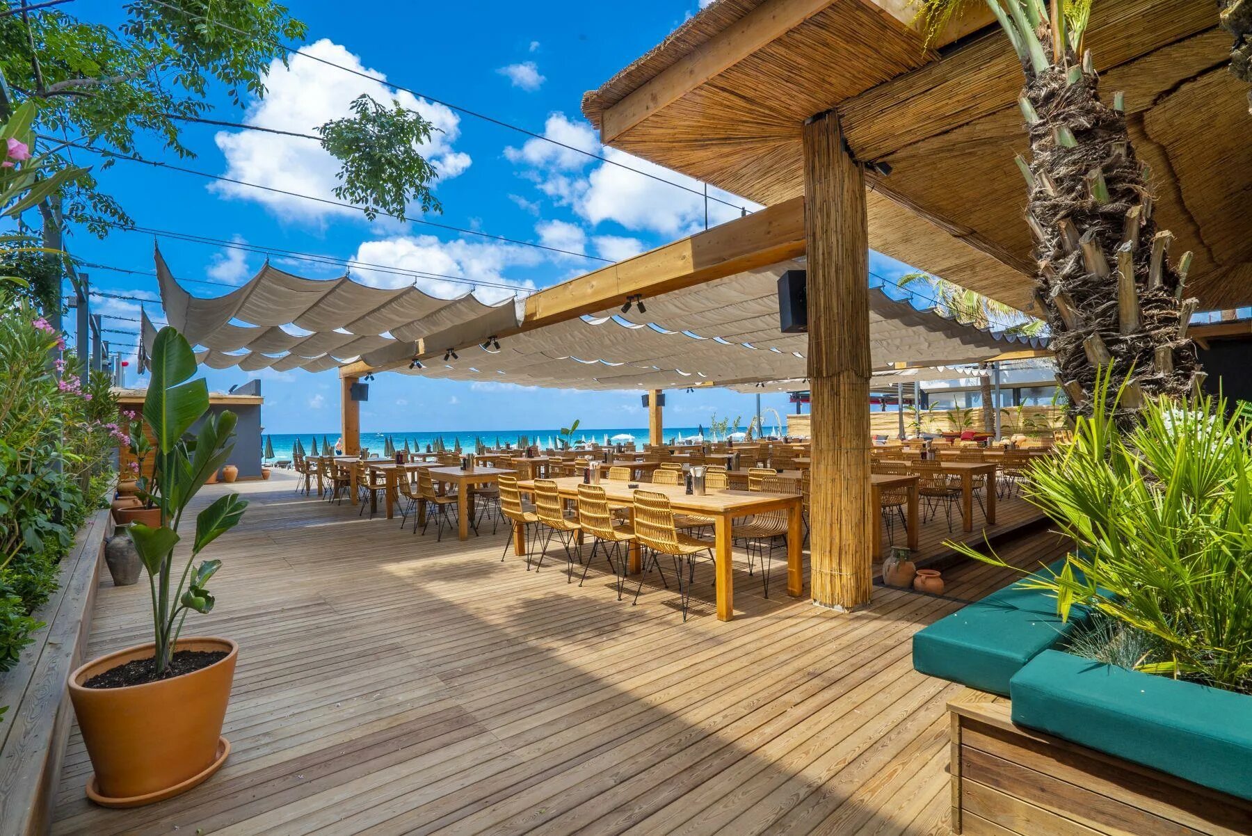 Cooks club alanya. Cooks club alanya. Отель cooks club alanya adults only (+12) 4. Отель cooks club alanya adults only (+12) 4. Кукс клаб алания.