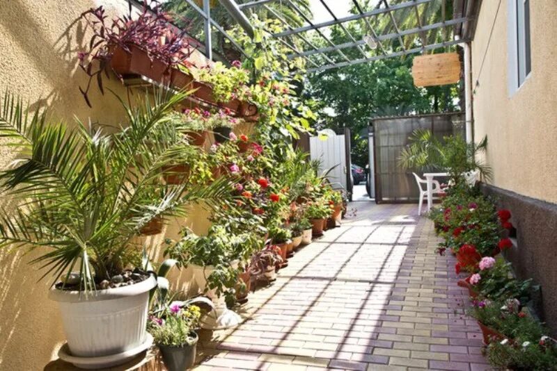 адлер ленина 172. гостевой дом на улице ленина 172 адлер. адлер ул ленина 286. краснодарский край, сочи, адлер, ул. адлер ул.