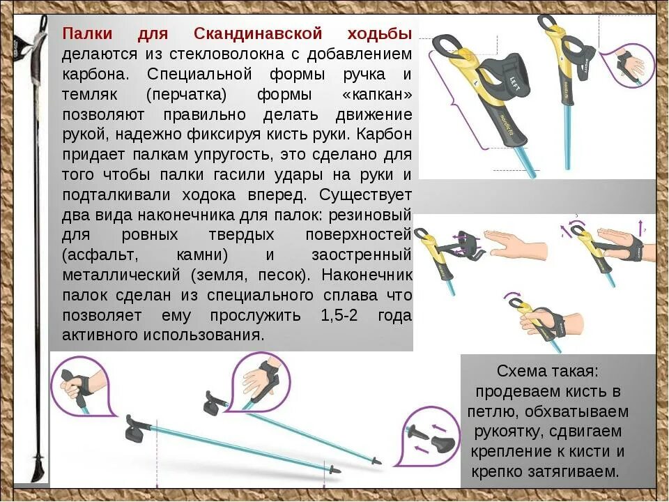 Какой длины палки для скандинавской ходьбы. Палки для скандинавской ходьбы на рост 172. Балки для скандинавской ходьбы по росту. Подобрать палки для скандинавской ходьбы. Подобрать размер палок для скандинавской ходьбы.