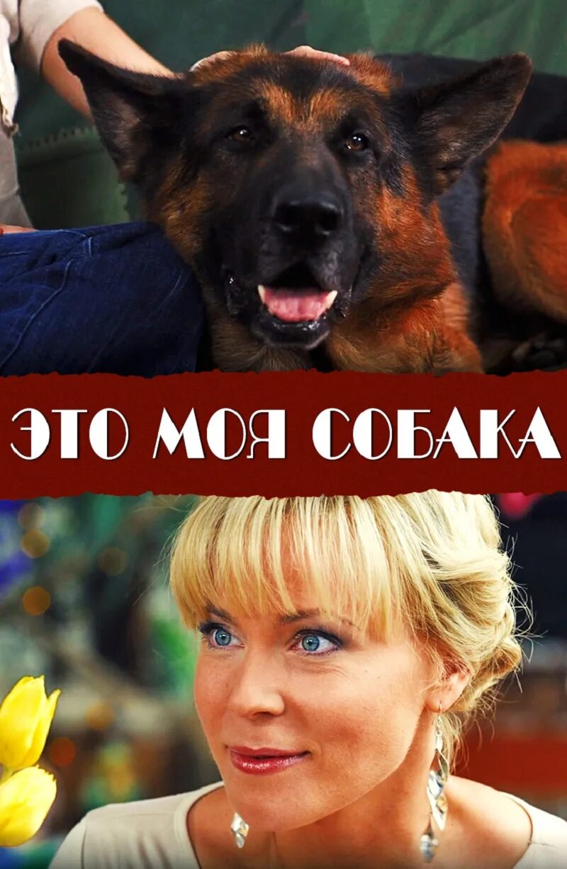 Мася собака. Потому что это моя собака. Моя собака идиот mon chien stupide, 2019. Потому что это моя собака. Потому что это моя собака.
