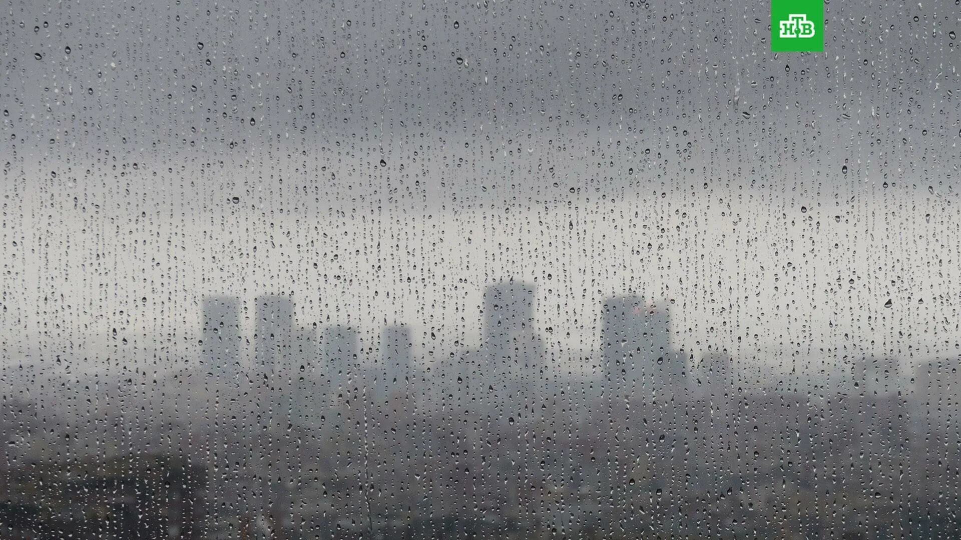 Дождливый день. Дождь в Москве. Дождливый четверг. Дождь в Москве сегодня.